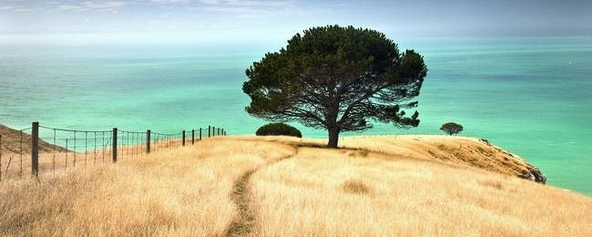 دانلود والپیپر هایی با کیفیت بالا با موضوع جنگل دانلود والپیپر هایی با کیفیت بالا با موضوع جنگل