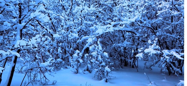 مجموعه والپیپر با موضوع زمستان برای iPhone